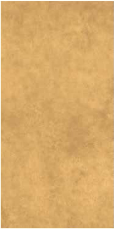 Lyrique Bordeaux Bladdecor 60×120 wandtegels